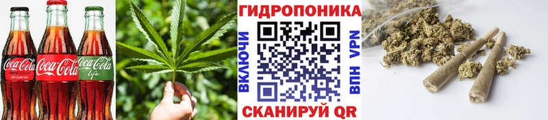 продажа наркотиков Олонец маркетплейс как зайти Еда ТГК конопля