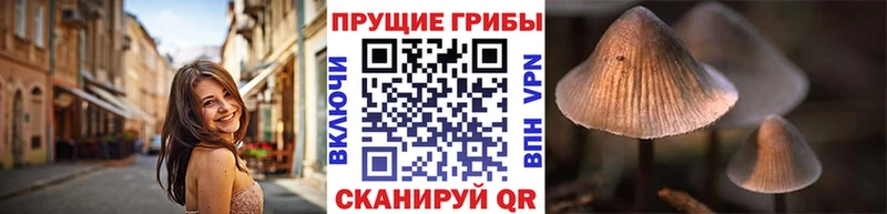 где найти Олонец мега маркетплейс Псилоцибиновые грибы GOLDEN TEACHER